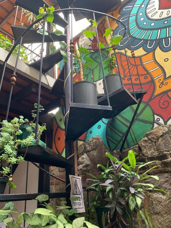 Hotel T Kon T Antigua Dış mekan fotoğraf